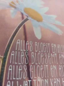 Fijne lettertjes