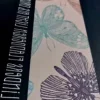 Fijne lettertjes